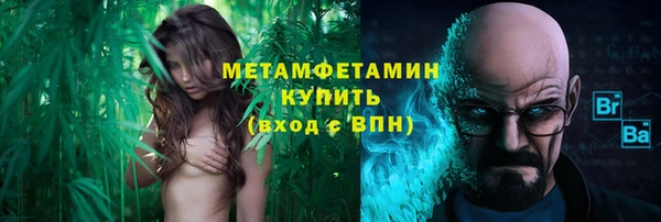 прущие грибы Кулебаки