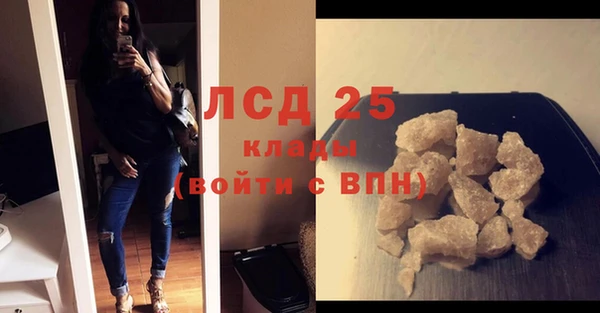 прущие грибы Кулебаки