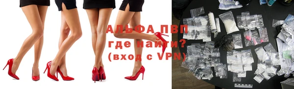 прущие грибы Кулебаки