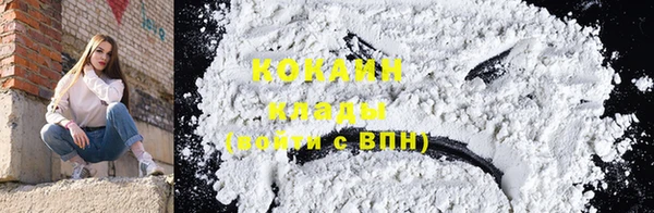 прущие грибы Кулебаки