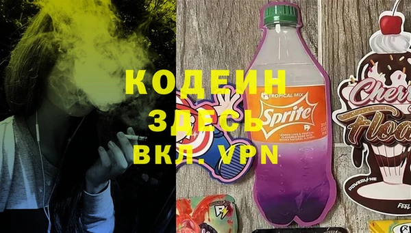 прущие грибы Кулебаки