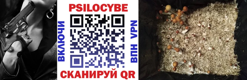 Купить где  Луза  Псилоцибиновые грибы Psilocybine cubensis 